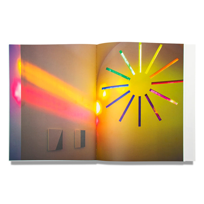 "Austin" by Ellsworth Kelly