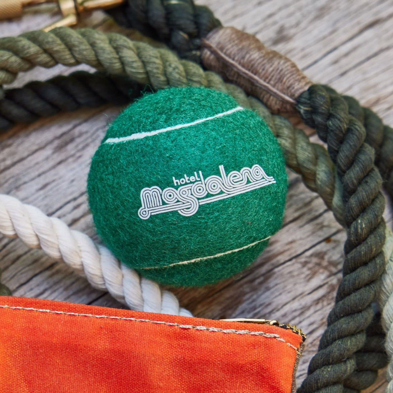 Hotel Magdalena Dog Ball