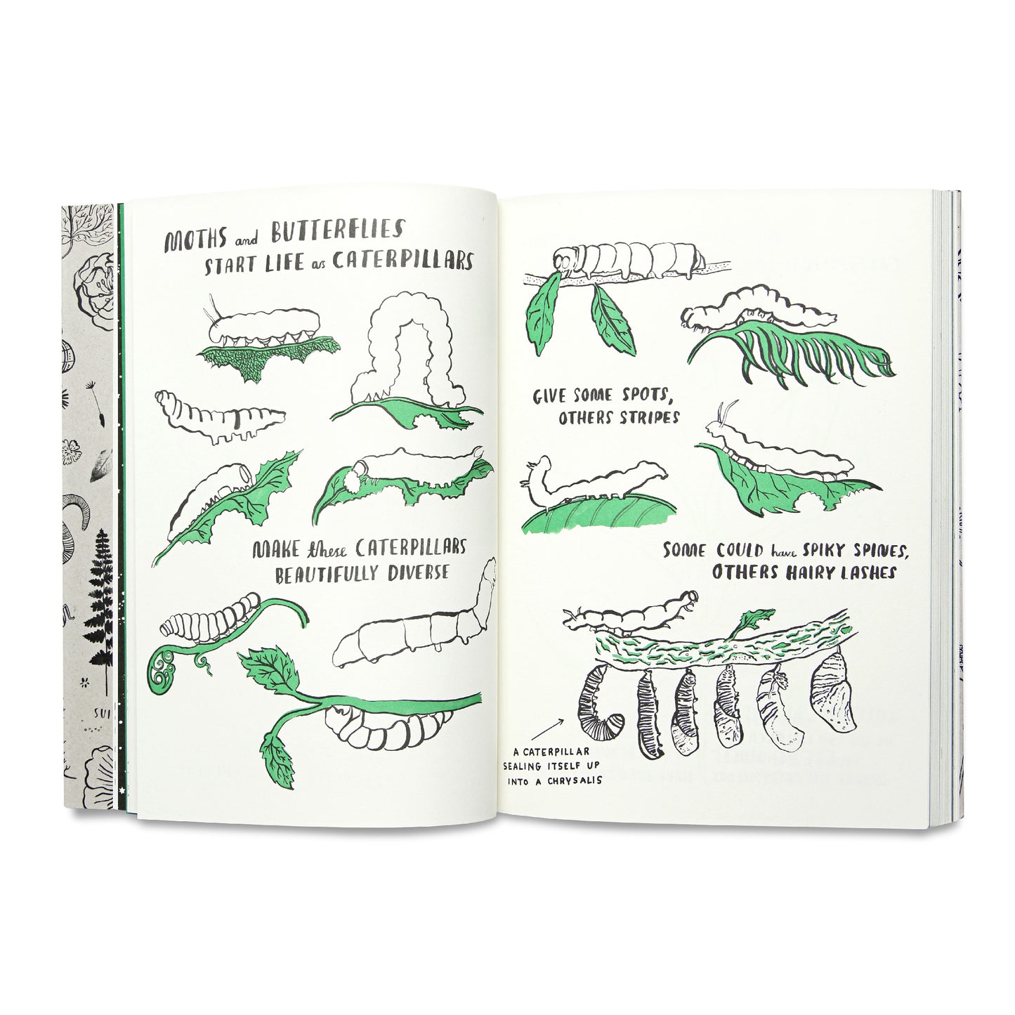 "Hello Nature" by Nina Chakrabarti