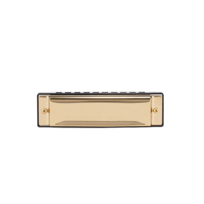 Make Your Own Harmonica Kit